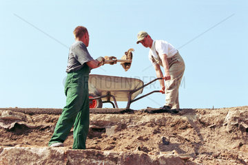 Maenner bei Ausgrabungen  Dresden