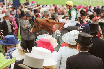Zuschauer mit Hut betrachten Pferd und Reiter nach dem Rennen