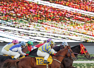 Seoul  Pferde und Reiter im Rennen