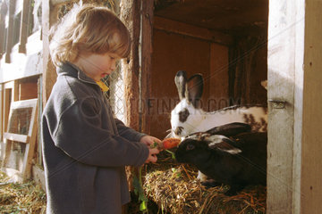 Ein Kind beim Fuettern von Kaninchen