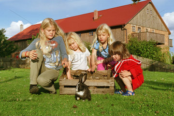 Mecklenburg  Kinder auf dem Bauernhof