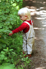 Ein kleines Kind nascht Beeren im Wald