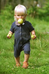 Ein kleines Kind mit Aepfeln auf einer Wiese