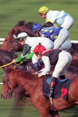 Symbolfoto  Galopprennpferde im Rennen