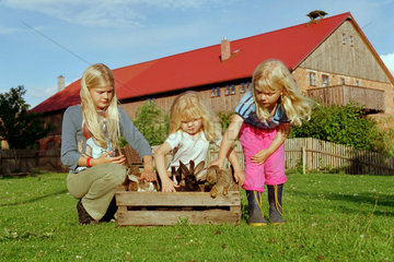 Mecklenburg  Kinder auf dem Bauernhof