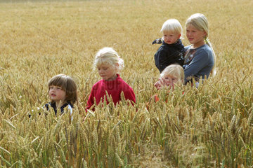 Kinder in einem Kornfeld
