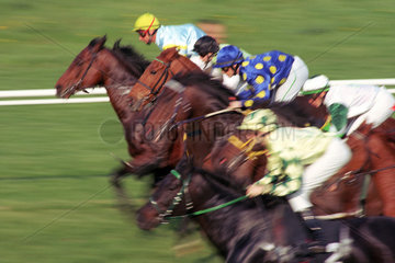 Symbolfoto  Galopprennpferde im Rennen