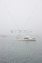 Bar Harbor  USA  Sportboote liegen im Hafen