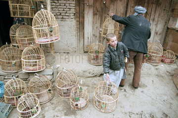 Geschaeft mit Vogelkaefigen in Kabul.