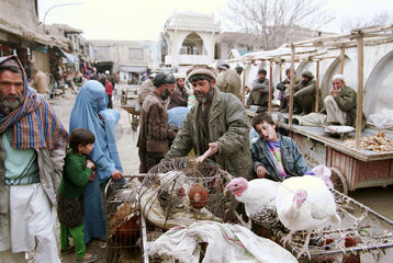 Gefluegelmarkt in Kabul.