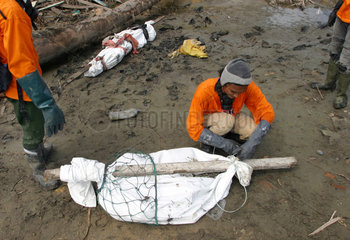 Leichensammler bei ihrer Arbeit in Banda Aceh