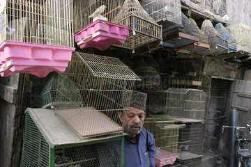 Vogelverkaeufer in Kabul