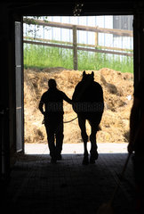 Oberoderwitz  Deutschland  Silhouette  Mann fuehrt ein Pferd aus dem Stall