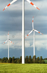 Windpark der AN Windenergie nahe Uhrsleben