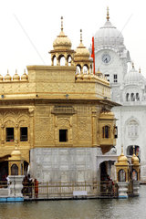Goldene Tempel von Amritsar