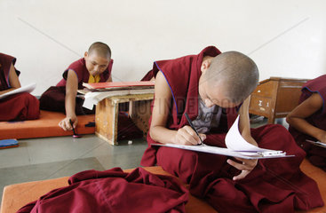 Unterricht von jungen buddhistischen Moenchen im Drukpa-Kagyu-Kloster