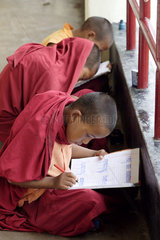 Junge buddhistische Moenche beim Schreiben von Schriftzeichen