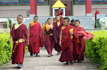 Junge buddhistische Moenche
