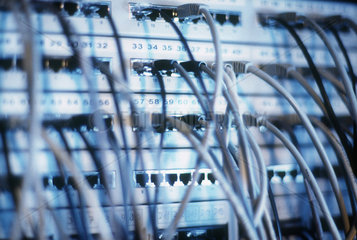 Viele Netzwerkkabel an einem Server