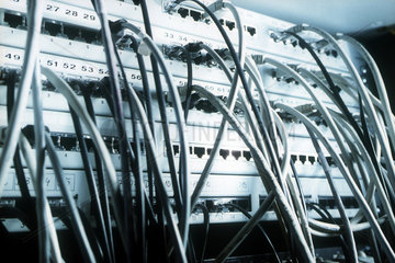 Viele Netzwerkkabel an einem Server