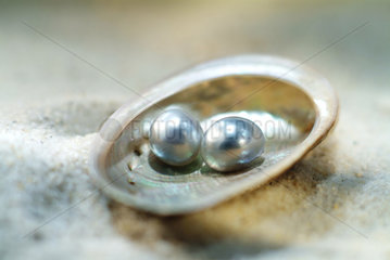 Muschel mit zwei Perlen