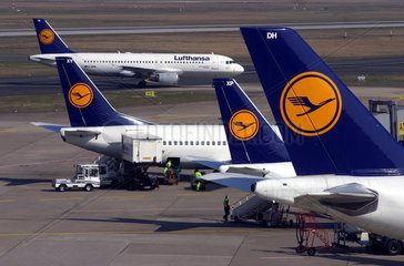 Lufthansa Flugzeuge am Duesseldorfer Flughafen