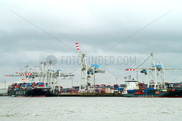 Hamburg  Tollerort Container Terminal