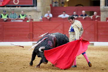 Enrique Ponce  ein spanischer Matador waehrend eines Stierkampfes  Spanien