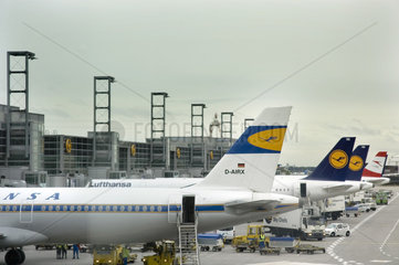 Frankfurt/ Main  Deutschland  Lufthansamaschinen auf dem Frankfurter Flughafen