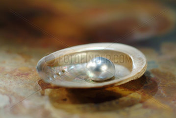 Muschel mit Perle