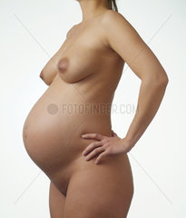 Akt einer schwangeren Frau