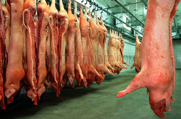Wachtendonk  Schweinehaelften haengen im Kuehlhaus