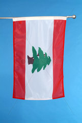 Hamburg  die Nationalflagge des Libanon