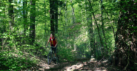 Junge Frau faehrt mit dem Mountainbike durch den Wald