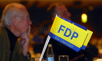 FDP-Faehnchen auf dem kleinen Parteitag in Aachen