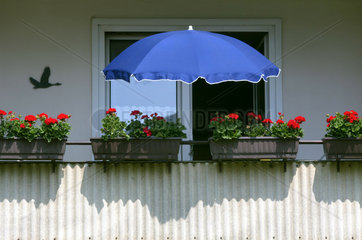 Dortmund  Blumenbalkon mit Sonnenschirm