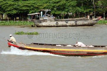 Vietnam  Transport von Schweinen auf einem Boot