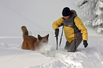 Schierke  Deutschland  Frau spielt mit ihrem Hund im Schnee