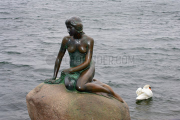 Daenemark  Kopenhagen  Meerjungfrau