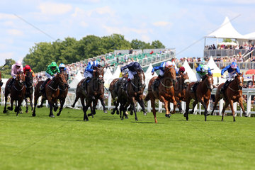 Royal Ascot  Mustajeeb (third from left) with Pat Smullen up wins the Jersey Stakes