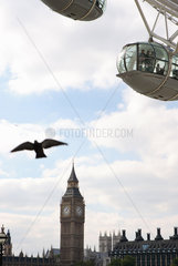 London  London Eye und Big Ben