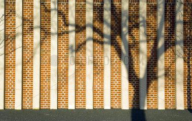 Berlin  Schatten eines Baums auf einer Mauer