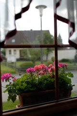 Mimberg  Deutschland  Ausblick aus einem Fenster mit einem Blumenkasten