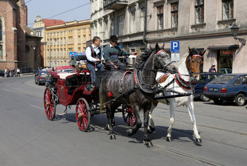 Polen  Krakau  Kutsche in der Altstadt