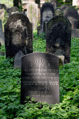 Polen  Krakau  Juedischer Friedhof in Kazimierz