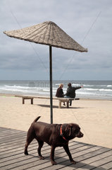 Holland  Bergen aan Zee  Hund und Paar am Strand