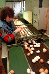Eierkontrolle auf einem Bauernhof