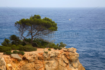 Ibiza  Landschaft an der Ostkueste