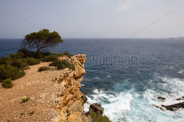 Ibiza  Landschaft an der Ostkueste