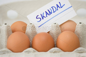 Stuttgart  Deutschland  eine Packung Eier mit dem Wort Skandal